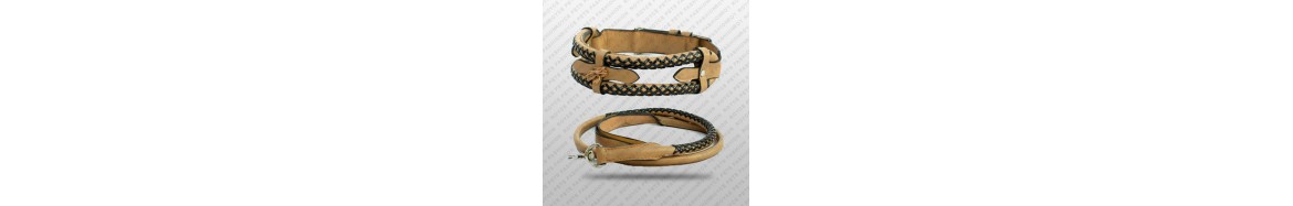 Dog Collars